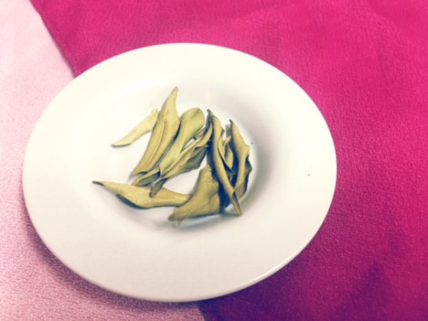 画像2: ★2025年産★　タチバナ（葉） (2)