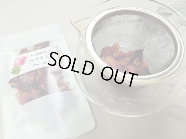 画像2: ハマナス（花） (2)