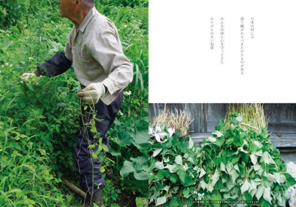 画像4: 売切半額SALE! 和ハーブ検定公式テキスト『和ハーブ　にほんのたからもの』 (4)