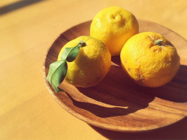 画像2: Taromaハンド&ネイルクリーム ゆず (2)