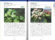 画像8: 日本古来の身近な植物の知識、活用法を学ぶ　和ハーブ検定１級・２級公式テキスト (8)